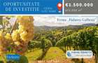 Antony Estate | Oportunitate de investitie, Ferma Padurea Galbena - Cehal, Marghita - 1