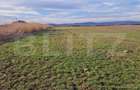 Teren intravilan, 8700mp,Prejmer - 3