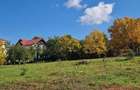 P. F. vand teren 5000mp -intravilan Bucium -Iasi; front stradal 50mp - 1