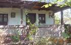 Casa taraneasca si teren comuna Murgasi sat Balota de Jos DJ - 2