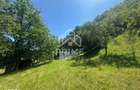 Casa de vacanta 98 mp| 25.000 mp teren| zona Valea Vintului - 1