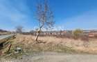 Oportunitate! Teren 8000 mp,parcelat ,cu PUZ ,Daia Noua, acces Dj 106 - 7