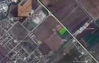 Teren de 8000 mp, în Torontalului - 2