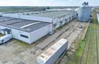 Spațiu industrial de vânzare în Aradul Nou / Arad - 6