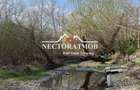 NECTORA IMOB Exclusivitate-Apartament SUPERB 3 cam cu TEREN si terasa - 3