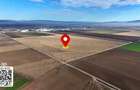 Teren Strategic 32.5 Ha|Direct la Nod Autostrada Bra?ov-Bacau|Logistic - 2