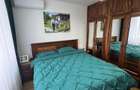 Apartament 3 camere Craiovei - 3