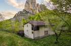 Cabana de poveste in Rame? | 2000 mp teren + rau pe proprietate | ideala pent - 1