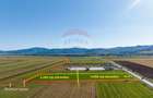 Teren agricol intravilan de 7500 mp, în Tărlungeni - 2
