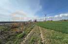 Teren, 18.000 mp, DN -Statia Meteo spre Valu lu Traian - 1
