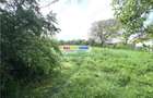 Teren intravilan de 2274 mp, în Băicoi - 6