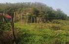 Teren intravilan de 2472 mp, în Malcoci - 5 Teren intravilan de 2472 mp, în Malcoci - 5