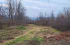 Teren intravilan 2.200 mp Unguriu/Buzau - 4