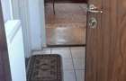 Apartament cu 2 camere în Șagului - 1