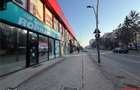Orizont - spatiu comercial stradal 87mp - 10