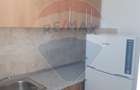 Apartament cu 1 camere de inchiriat - 4
