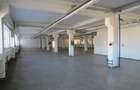 Spațiu comercial, de 3,780 mp, în Curtea de Argeș - 4
