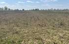 Teren agricol Slobozia Moara 8544 mp acces la drum asfaltat si la 1 km de DN7 - 4