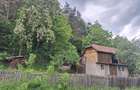Vind proprietate in comuna Catina judetul Buzau - 4