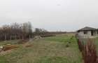 Teren 5000 mp,  Lelești - 2