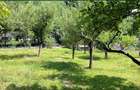 Casă cu 3 camere în Negreni - 5