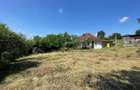 Casa batraneasca cu teren de 3.200 mp in Hertioana de Jos, jud.Bacau - 8