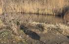 De vanzare doua hectare teren extravilan Corbita