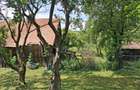 Casa la tara , curte/gradina 3450 m2 PRET NOU - 7