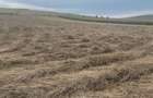 Teren agricol arabil  - 2