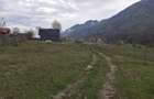 Teren de vanzare in Malaia(Valcea) - 3