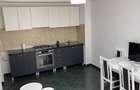 Apartament 2 camere de inchiriat Visoianu - 3