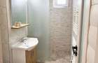 Apartament 2 camere decomandat,zona Centrala, renovat recent - 4