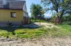 Casa cu gradina roditoare si teren 3000 m2 de vanzare Sacadate, Sibiu / House with Garden and 3000 m2 Land for Sale Sacadate, Sibiu - 7