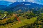 Teren agricol de 4253 mp, în Glăjărie - 2