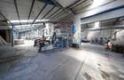 Spațiu industrial, de 1,532 mp, în Cărpiniș - 17