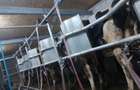 Ferma zootehnică funcțională, populată cu peste 200 capete bovine, aproape de Sâ - 9