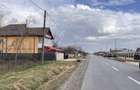 Teren Construcții de 2450 mp, în Catanele - 4