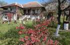 Casă cu 3 camere cu Teren 10000 Mp în Lumnic - 3