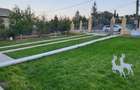 Casă cu 6 camere în Babadag - 5