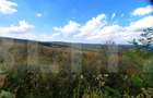 Teren intravilan de 5800 mp, în Central - 3