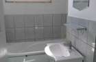 Apartament cu 2 camere semidecomandat în Podu Roș - 8