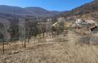 Teren intravilan de vanzare, 1550 mp, cu priveli?te panoram - 3