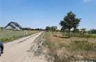 Vanzare Teren Constructi Intravilan - 2