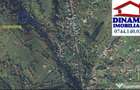 3600 mp teren intravilan, sat Bistrita, 12 Euro/mp - 7