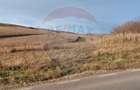 Teren extravilan 800 mp com. Secuieni, jud. Bacau - 4