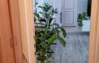 Apartament cu 2 camere decomandat în Zimbru - 4