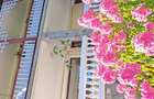 Apartament cu 3 camere decomandat în Central - 10