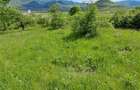 Teren de 5967 mp, în Periferie - 11