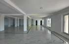 Spațiu comercial, de 100 mp, în Dumbrăvița - 3