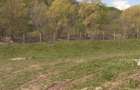 Teren de 2100 mp, în Vălenii de Munte - 2